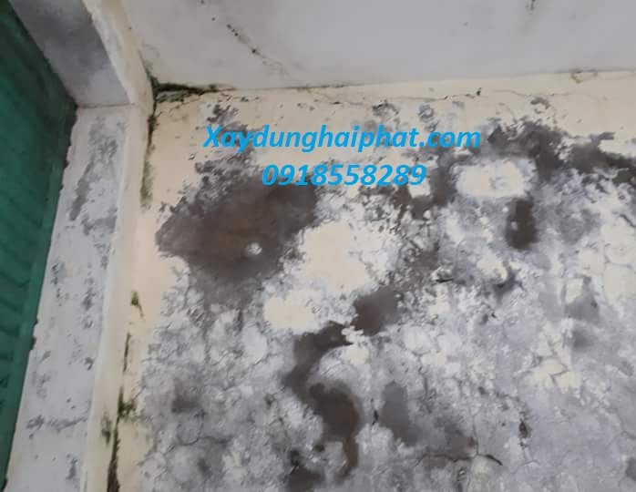 am-moc-tuong-nha-cach-khach-phuc-tuong-moc-hieu-qua-triet-de-3