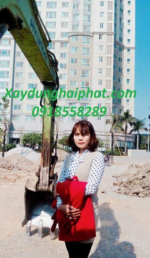 bao-gia-pha-do-cong-trinh-pha-do-nha-cu-chinh-xac-nhat-tai-ha-noi