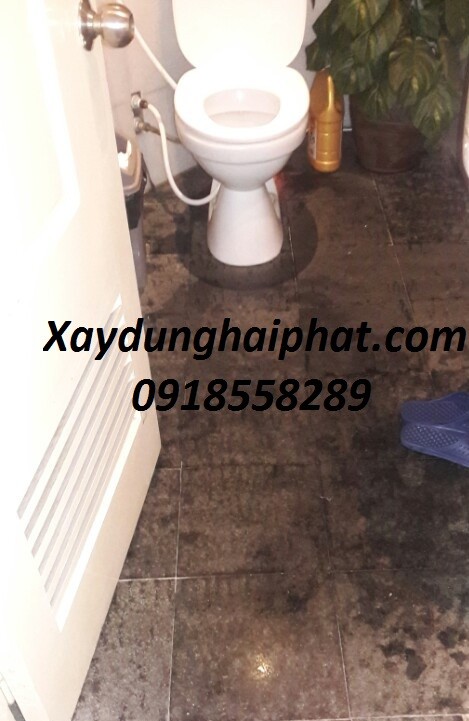 bien-phap-chong-tham-nha-ve-sinh-toilet-hieu-qua-nhat-1