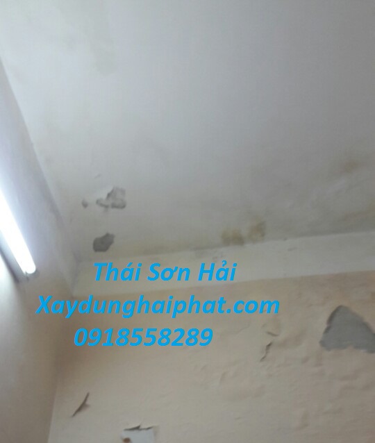 cach-chong-tham-co-tran-nha-xu-ly-ran-nut-tuong-nha-hieu-qua-2