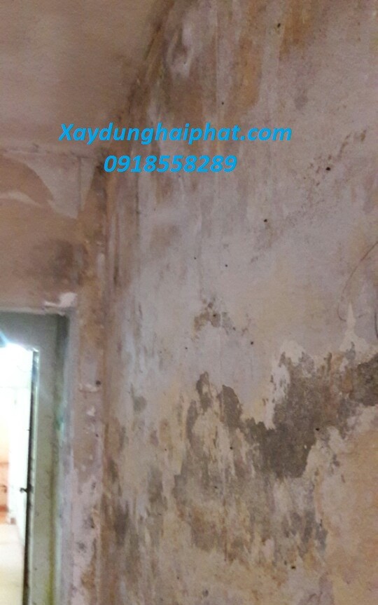 cach-xu-ly-tuong-am-moc-son-tuong-bi-rop-don-gian-hieu-qua-2