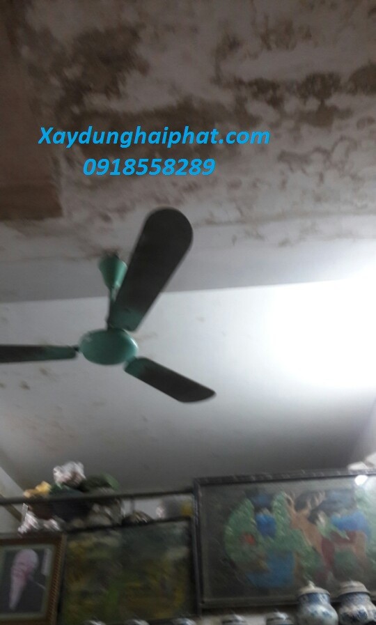 cach-xu-ly-tuong-am-moc-son-tuong-bi-rop-don-gian-hieu-qua-3