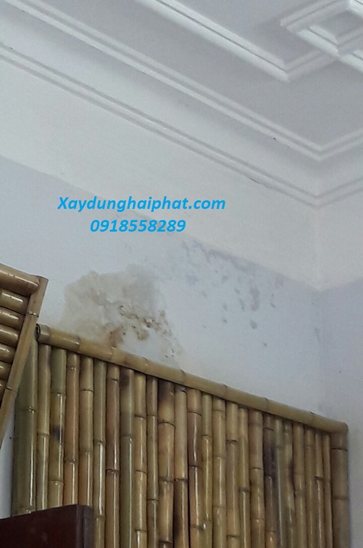 cach-xu-ly-tuong-bi-am-chong-tham-tuong-nha-cu-hieu-qua-nhat-1