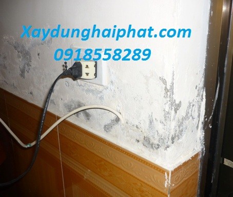 chong-tham-chan-tuong-tai-ha-noi