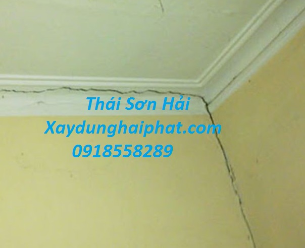 chong-tham-co-tran-Hoang-Mai-HN-triet-de-5