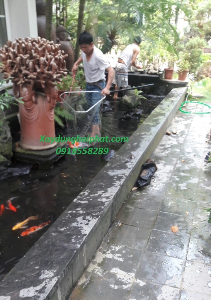 chong-tham-ho-ca-canh-chong-tham-ho-ca-koi-tai-ecopark-ha-noi-1