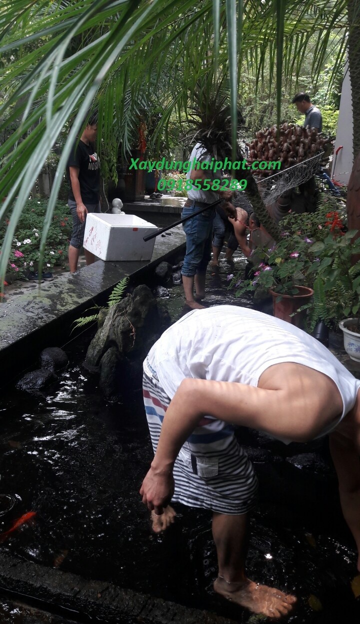 chong-tham-ho-ca-canh-chong-tham-ho-ca-koi-tai-ecopark-ha-noi-2