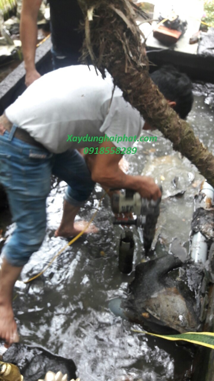 chong-tham-ho-ca-canh-chong-tham-ho-ca-koi-tai-ecopark-ha-noi-3