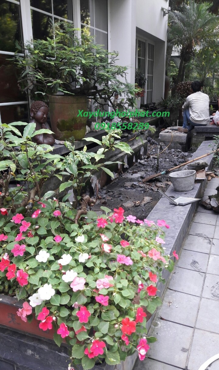 chong-tham-ho-ca-canh-chong-tham-ho-ca-koi-tai-ecopark-ha-noi-6