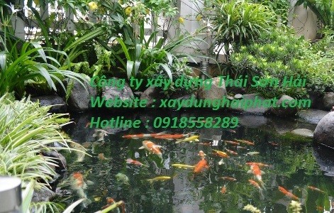 chong-tham-ho-koi-tai-vinhomes-riverside-long-bien-2