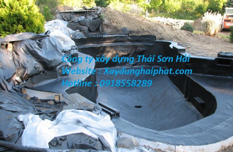 cong-ty-chong-tham-ho-ca-coi-uy-tin-chuyen-nghiep-nhat-ha-noi-2