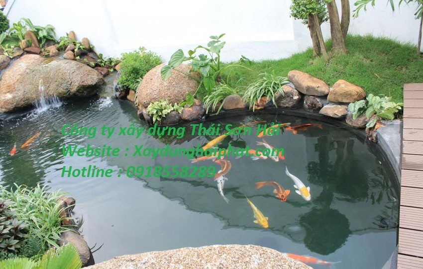 cong-ty-chong-tham-ho-ca-coi-uy-tin-chuyen-nghiep-nhat-ha-noi-3