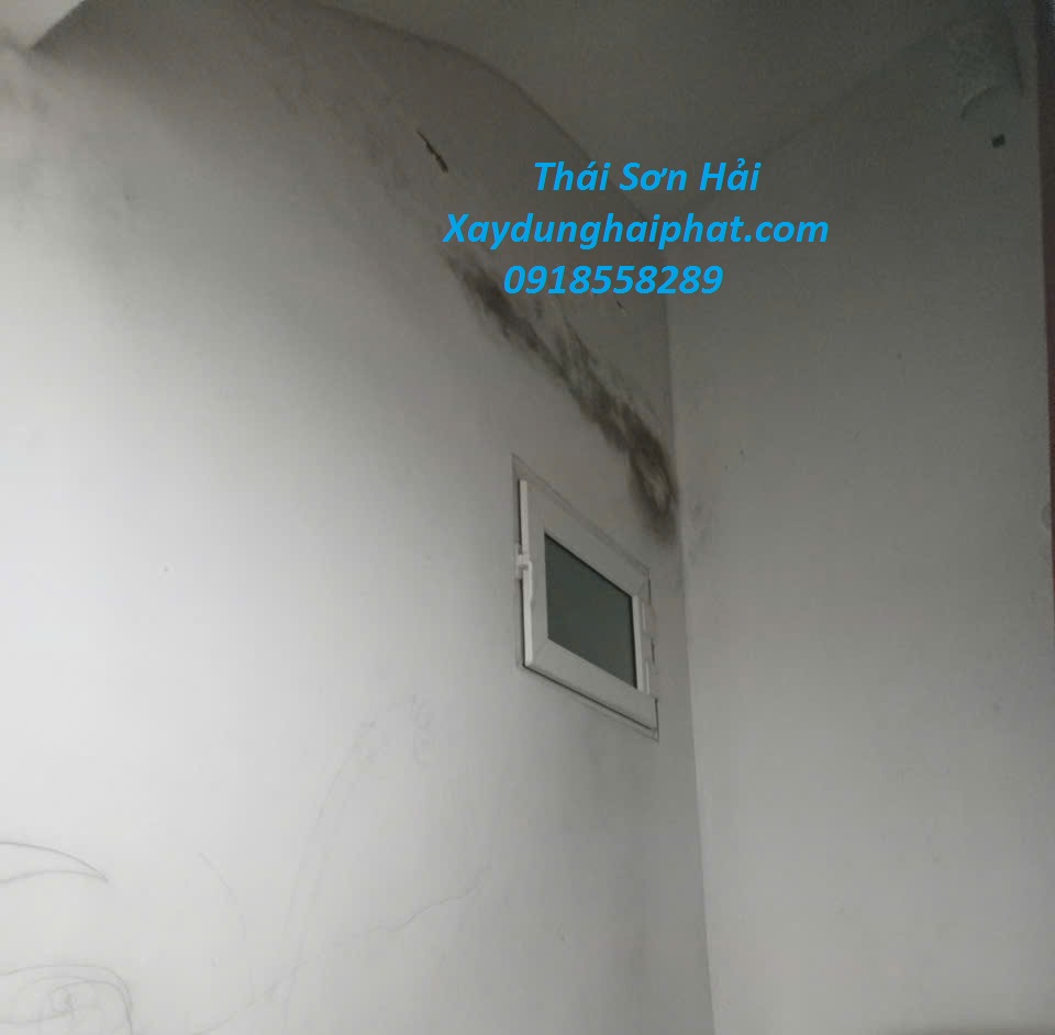 cong-ty-xu-ly-tham-nut-co-tran-tai-Ha-Noi-uy-tin-5