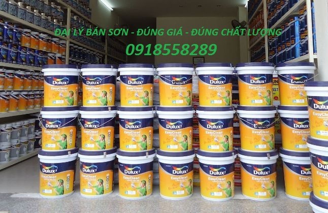 dai-ly-ban-son-nha-son-chong-tham-o-ha-noi-gia-re-chat-luong-2