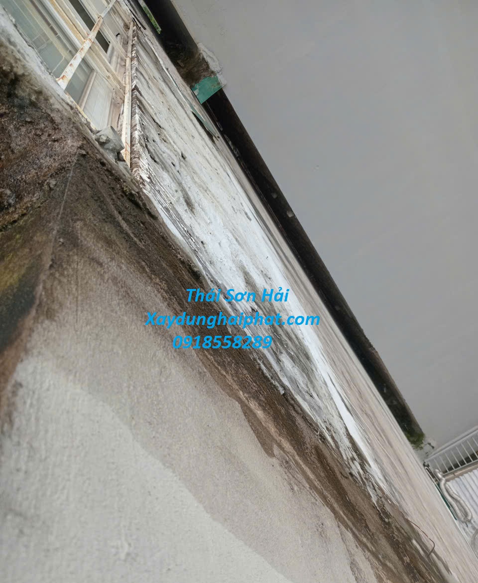 dich-vu-chong-tham-co-tran-nha-gia-re-uy-tin-Ha-Noi-1