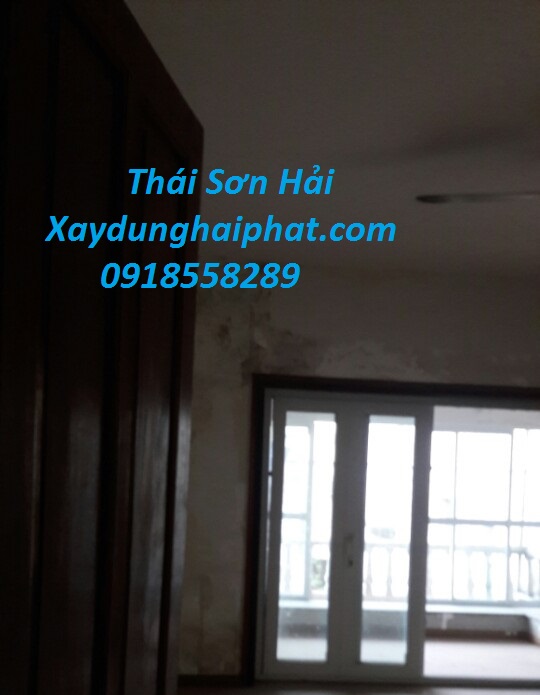 dich-vu-chong-tham-co-tran-triet-de-chuyen-nghiep-o-Ha-Noi-4