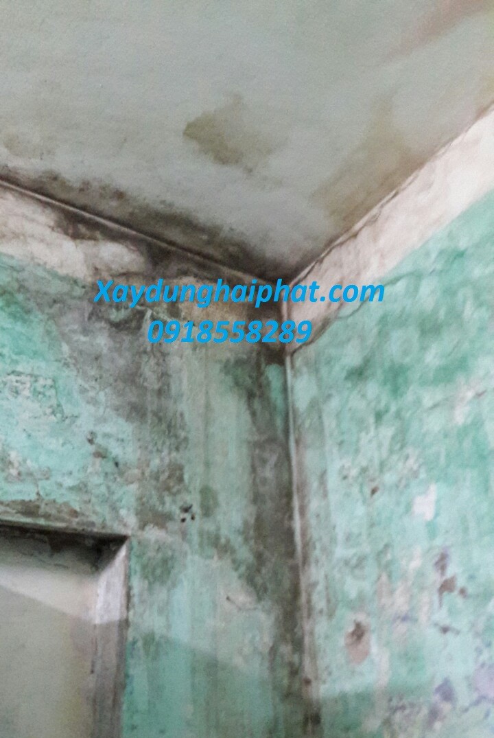 dich-vu-chong-tham-dot-xu-ly-nut-tuong-chuyen-nghiep-tai-ha-noi-2