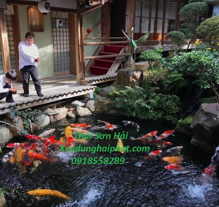 dich-vu-chong-tham-ho-ca-canh-chong-tham-ho-nuoi-ca-koi-tai-hn-1