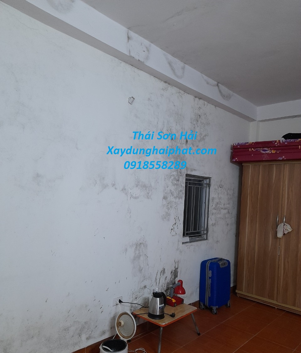 dich-vu-chong-tham-tuong-nut-chong-tham-dot-tuong-nha-cu-o-HN-3