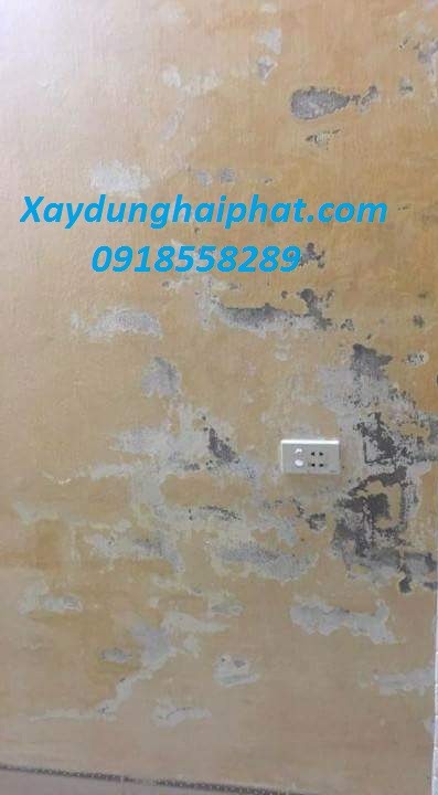 dich-vu-chuyen-chong-am-moc-tuong-nha-tuong-bi-moc-triet-de-1