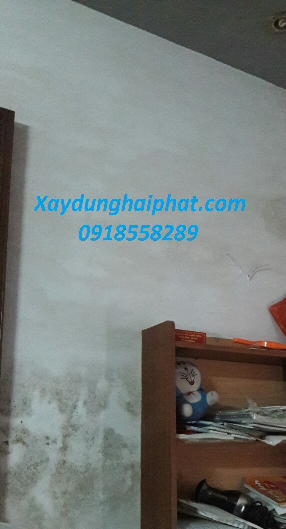 dich-vu-chuyen-chong-am-moc-tuong-nha-tuong-bi-moc-triet-de-3