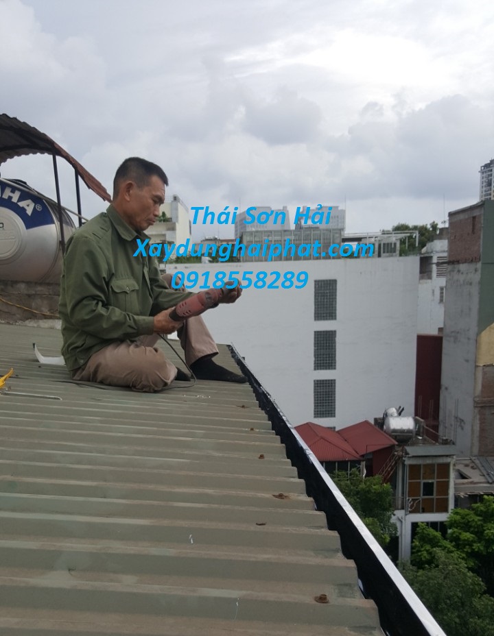 dich-vu-lam-mang-xoi-nha-thay-the-mang-xoi-nha-pho-Ha-Noi-1