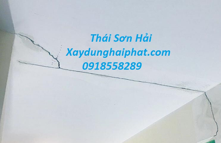 doi-ngu-xu-ly-nut-co-tran-uy-tin-chong-tham-co-tran-triet-de-o-HN-2