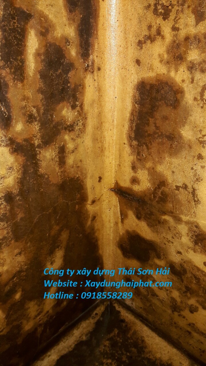 don-vi-chong-tham-be-nuoc-ngam-bang-sika-chuyen-nghiep-nhat-ha-noi-2