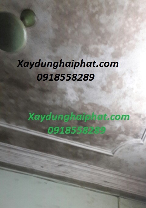 khac-phuc-tuong-moc-hn