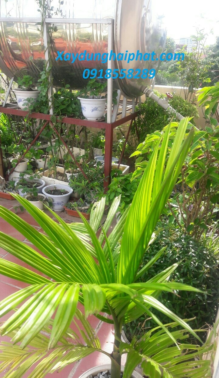 ky-thuat-chong-tham-vuon-san-thuong-de-trong-cay-4
