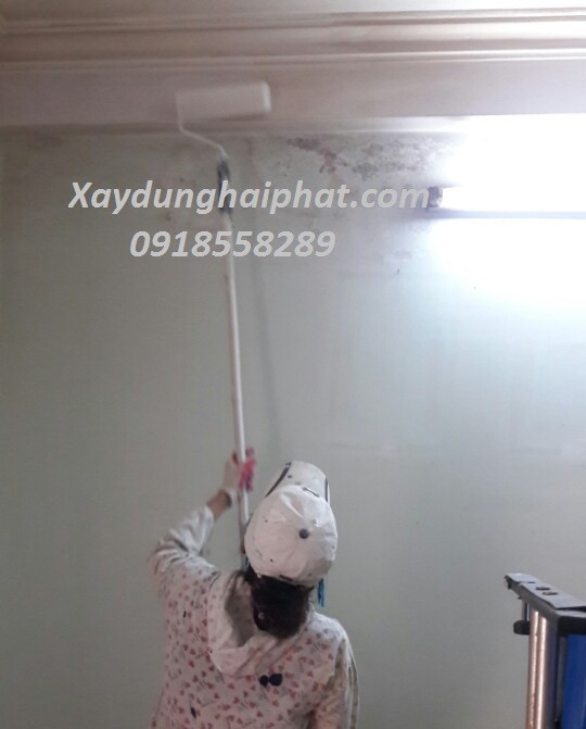 ky-thuat-son-tuong-nha-bi-moc-hieu-qua-nhat