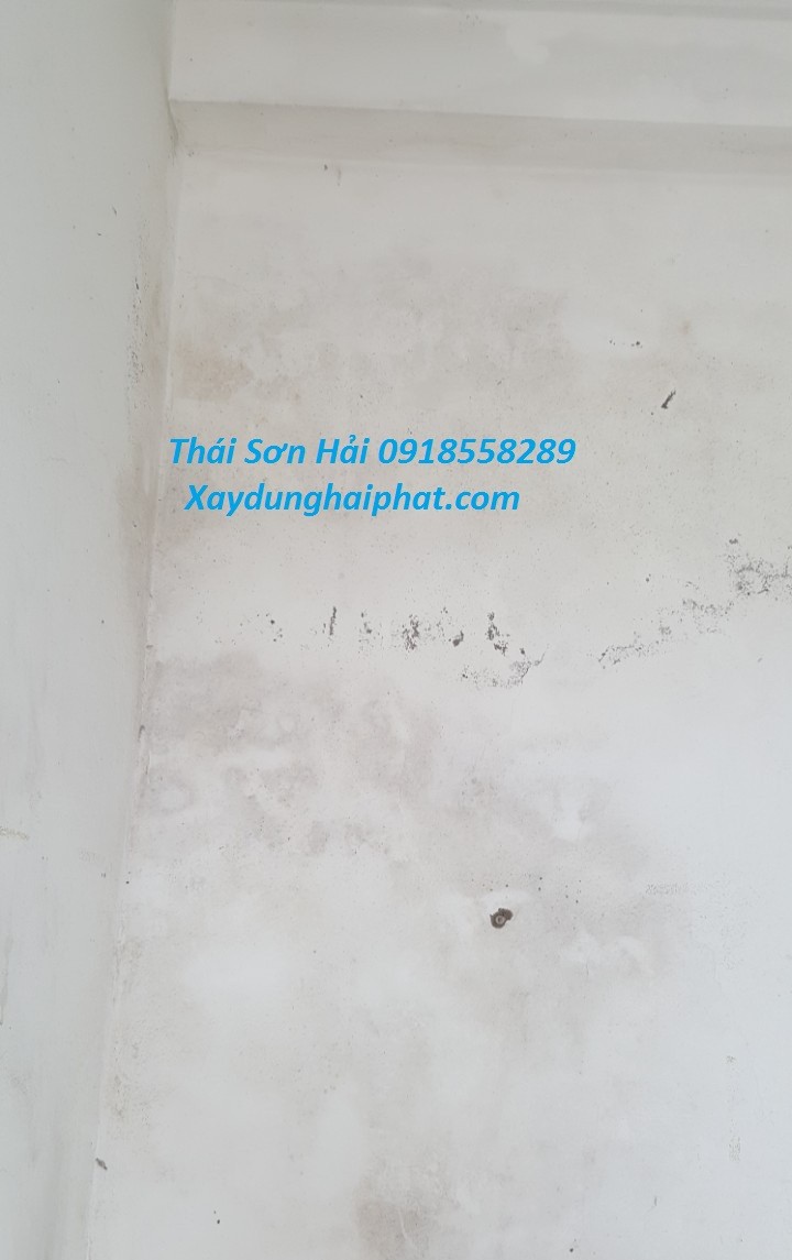 son-chong-nam-moc-trong-nha-khac-phuc-tuong-nha-bi-moc-tai-hoang-mai-2