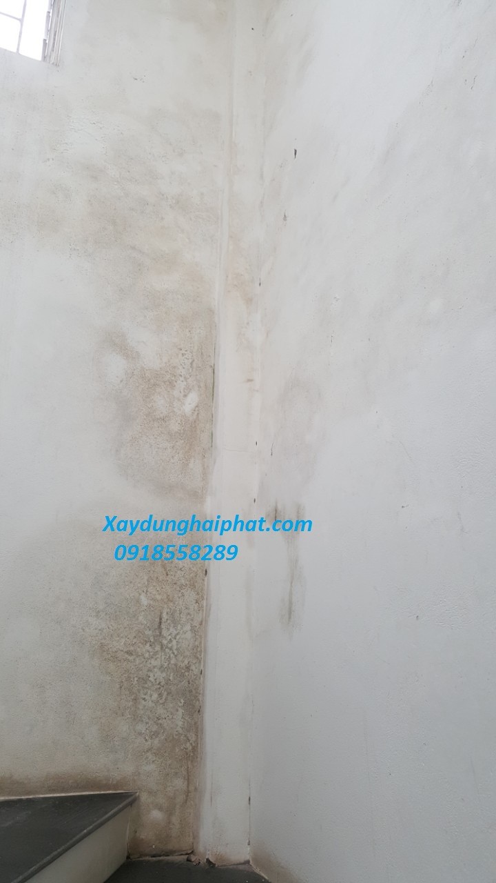 son-chong-tham-moc-khac-phuc-tuong-moc-tai-cau-giay-1
