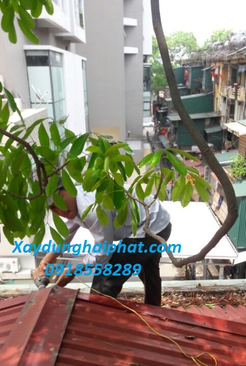 thi-cong-mai-ton-hn