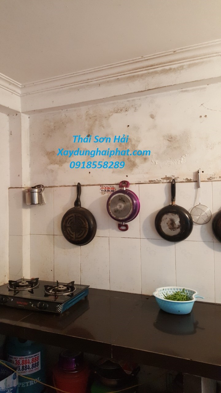 tho-chong-tham-ha-noi-tu-van-tuong-bi-tham-moc-hieu-qua-1