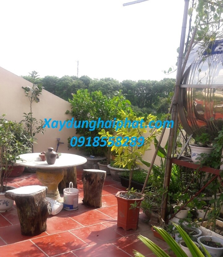 tho-chong-tham-mai-be-tong-chong-tham-san-thuong-trong-cay-o-hn-3