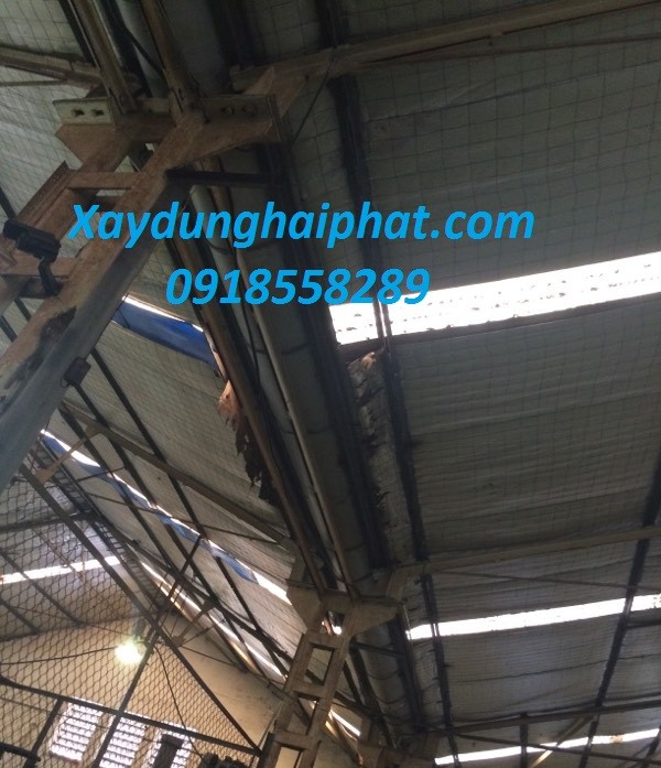 tho-thi-cong-mang-xoi-thay-mang-xoi-tai-ha-noi