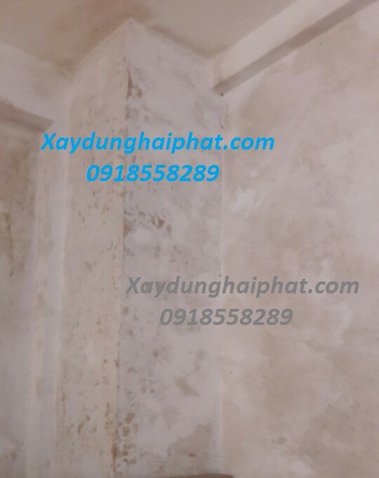 tuong-nha-bi-moc-va-cach-khac-phuc-triet-de