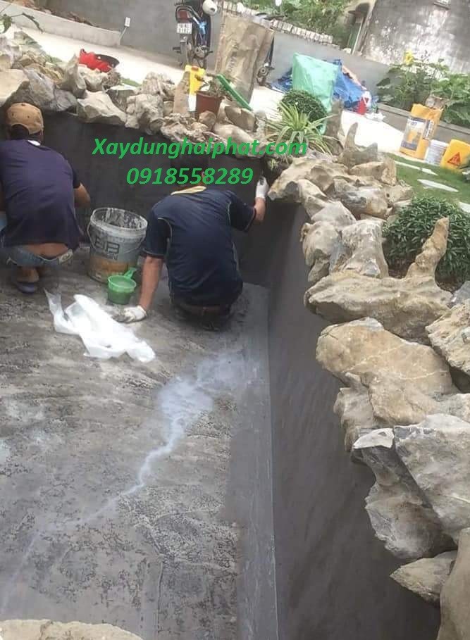 xu-ly-ho-ca-bi-ri-nuoc-chong-tham-ho-ca-koi-tai-tay-ho-ha-noi-1