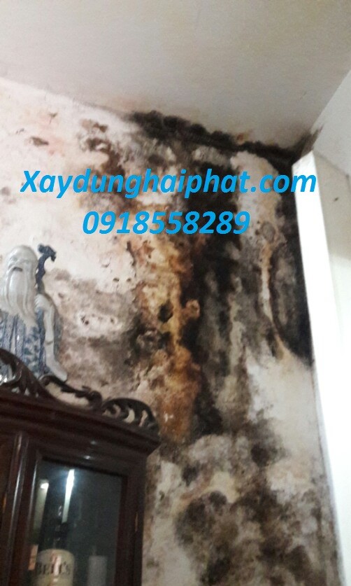 xu-ly-khac-phuc-am-moc-tuong-nha-hn