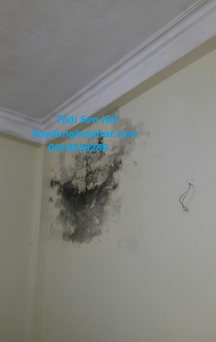 xu-ly-tuong-nut-va-chong-tham-chong-tham-co-tran-nha-o-Cau-Giay-4