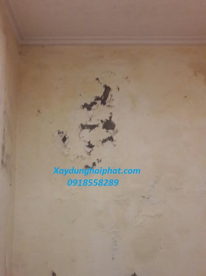 xu-ly-vet-nut-co-tran-gia-co-tuong-bi-nut-tai-ha-noi-ben-vung-2