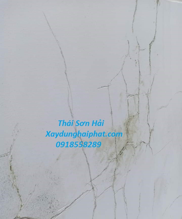 xu-ly-vet-nut-tuong-nha-chong-tham-vet-nut-tuong-tai-hoan-kiem-hn-2