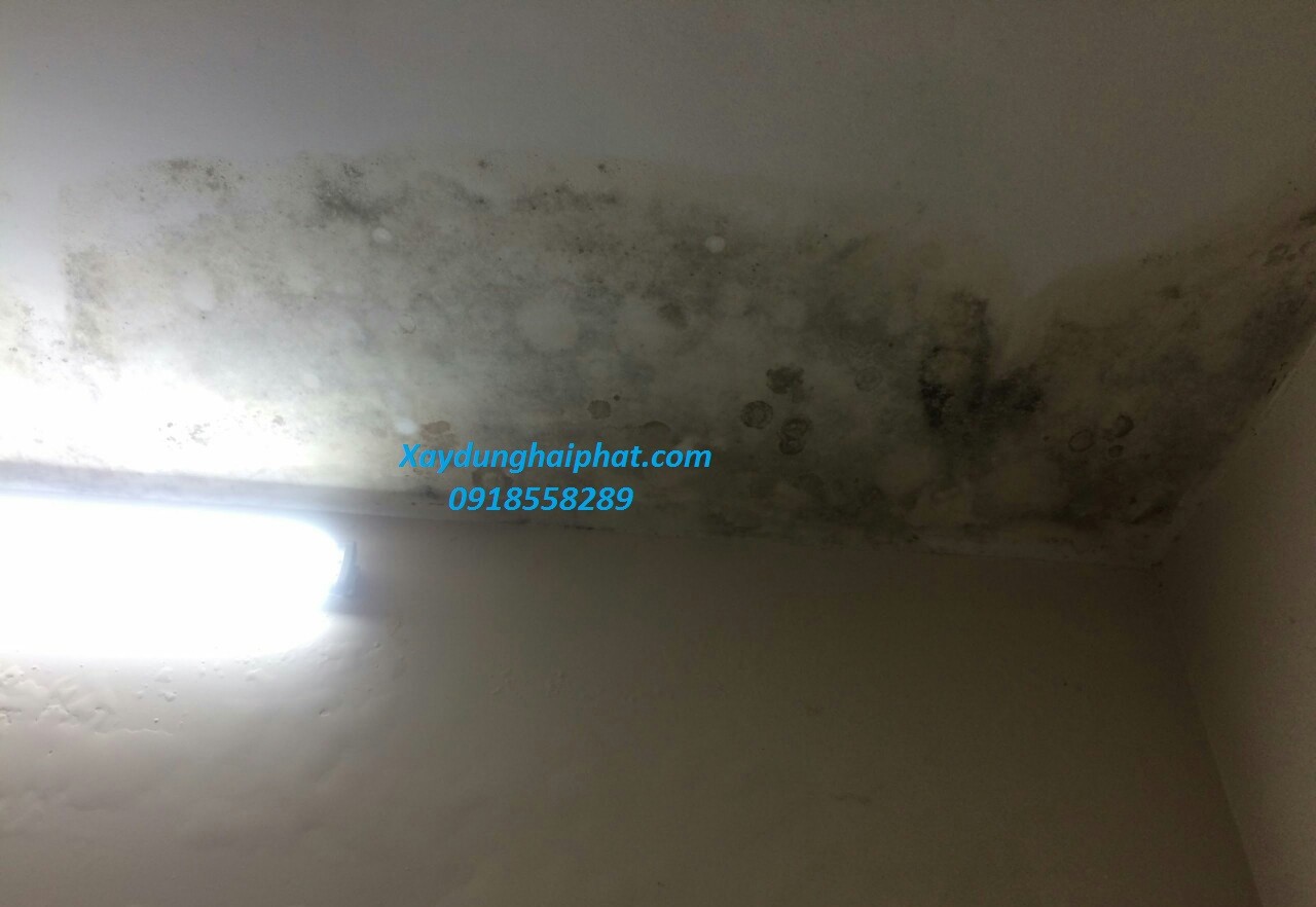 xu-ly-vet-nut-tuong-nha-sua-nha-nut-chong-tham-tuong-3